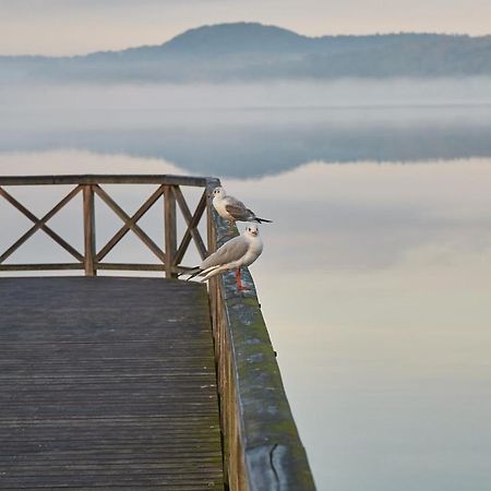 Villa Schwan In Binz - Wg 19B "Mohnblume" Bagian luar foto